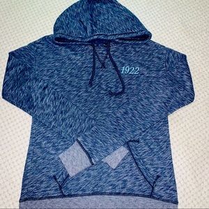 Hollister Faded Blue Hoodie Size XS